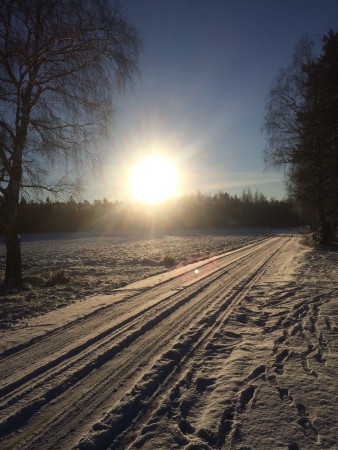 Efter en härlig promenad i det soliga Värmland 
